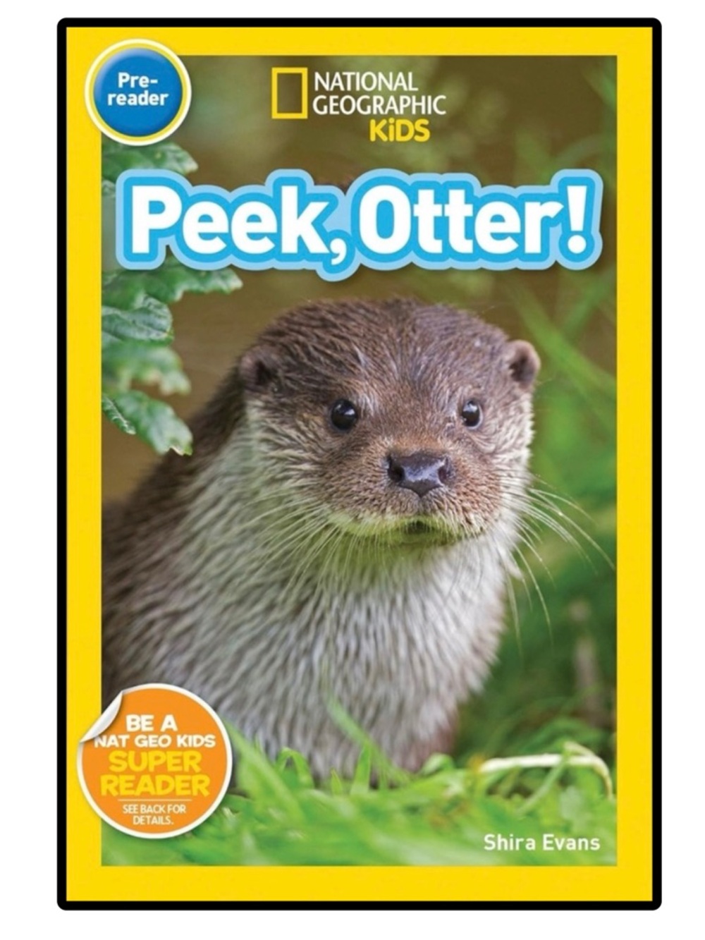 BUNDLE & SAVE🎉 National Geographic Kids Perk, Otter! Book